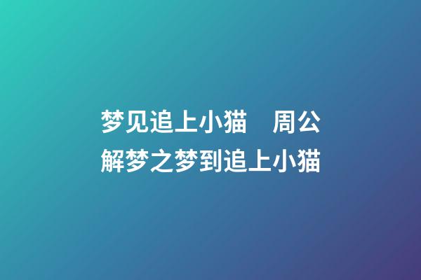 梦见追上小猫　周公解梦之梦到追上小猫